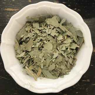 Eucalipto